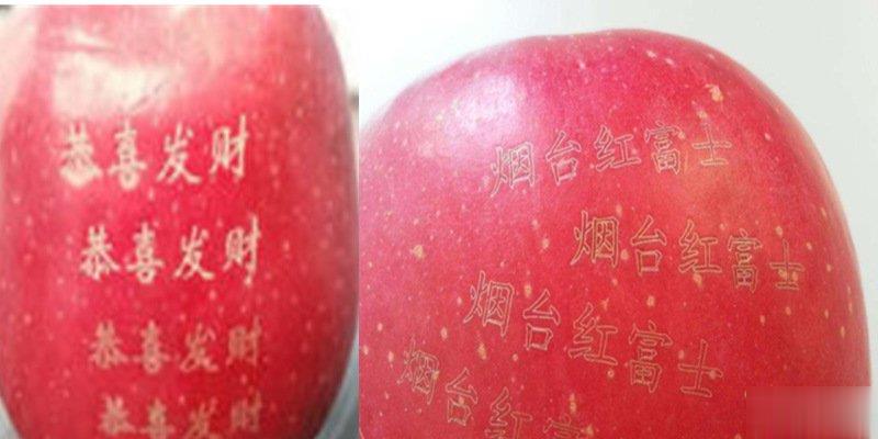 激光打标机在水果上是怎么打标的呢？